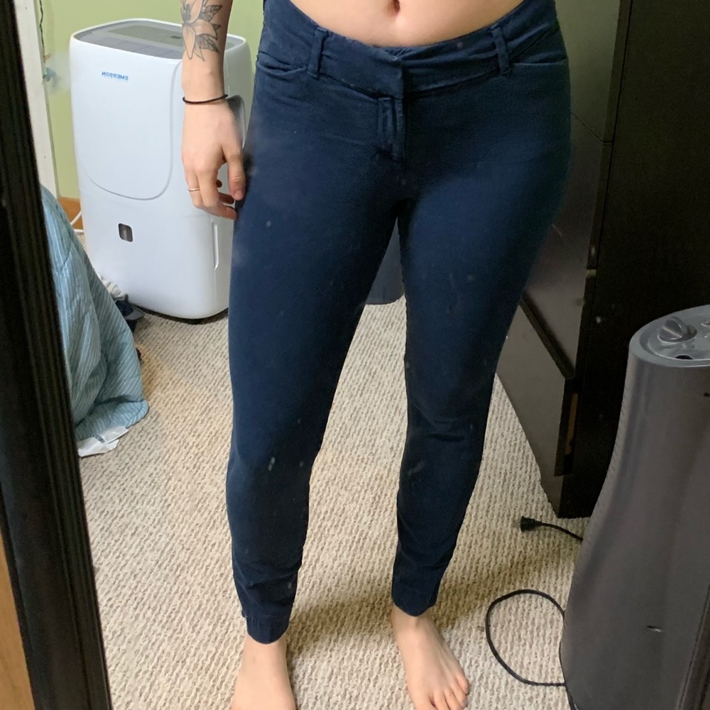 Dressy pants